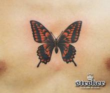 ストローカータトゥーの舞台裏