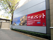 $ストローカータトゥーの舞台裏