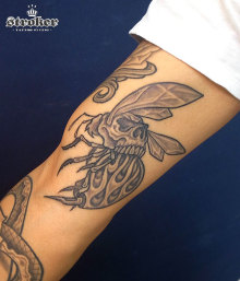 $ストローカータトゥーの舞台裏