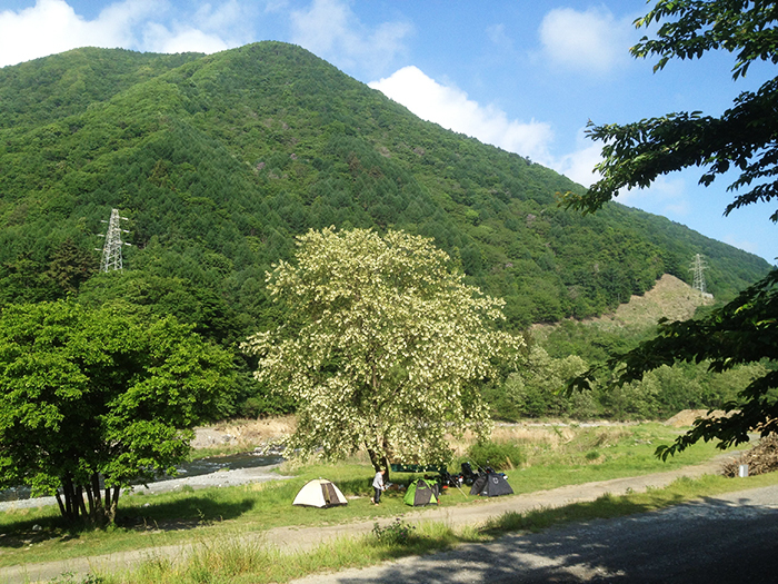 $ストローカータトゥーの舞台裏