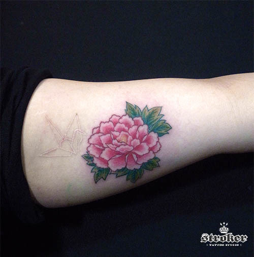 o0500050713239915535