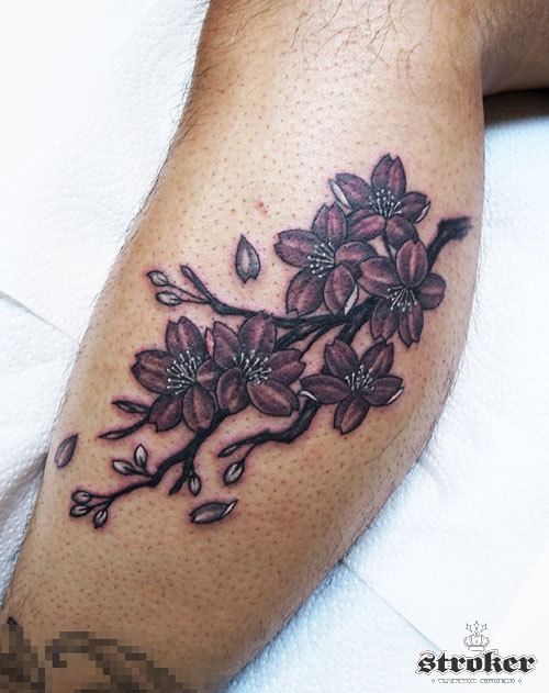 桜 山茶花のtattoo Stroker Tattoo