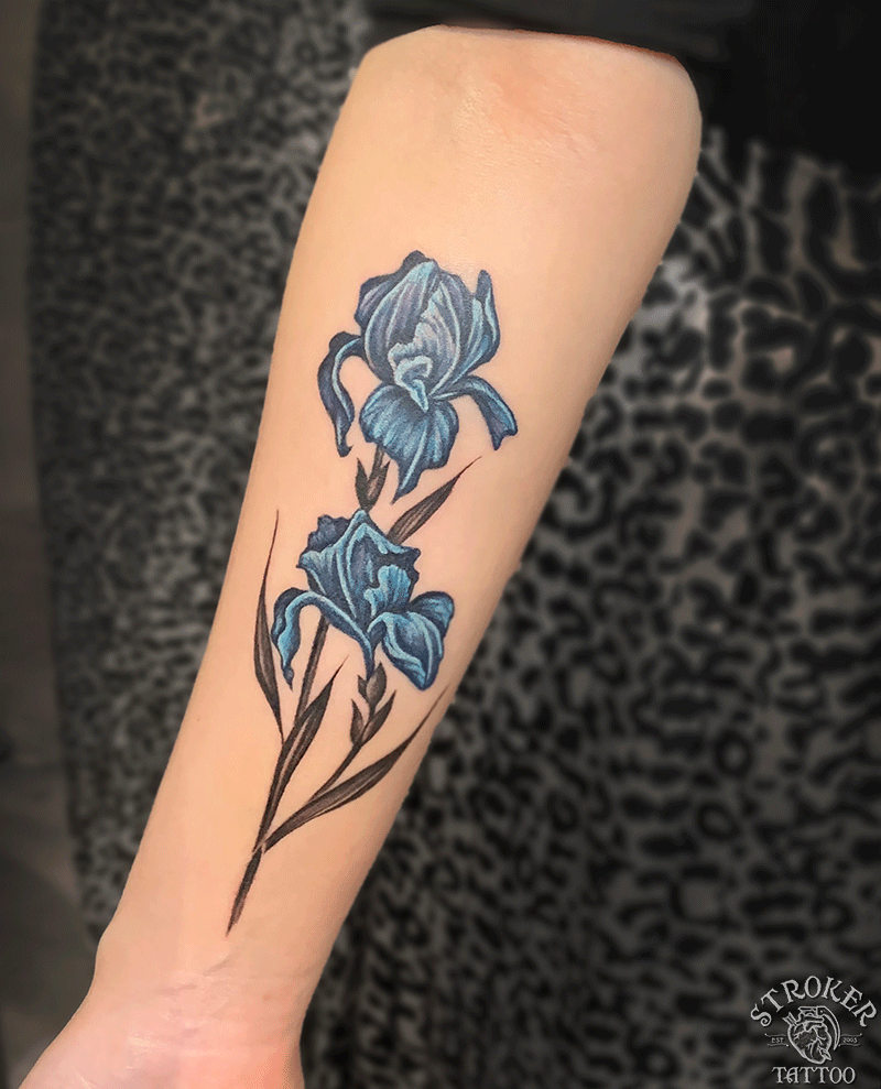 藤の花とあやめの花 Stroker Tattoo
