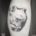 犬　ポートレイト　ポートレート　リアル　リアリスティック　タトゥー　フレンチブルドッグ　realistic portrait tattoo dog