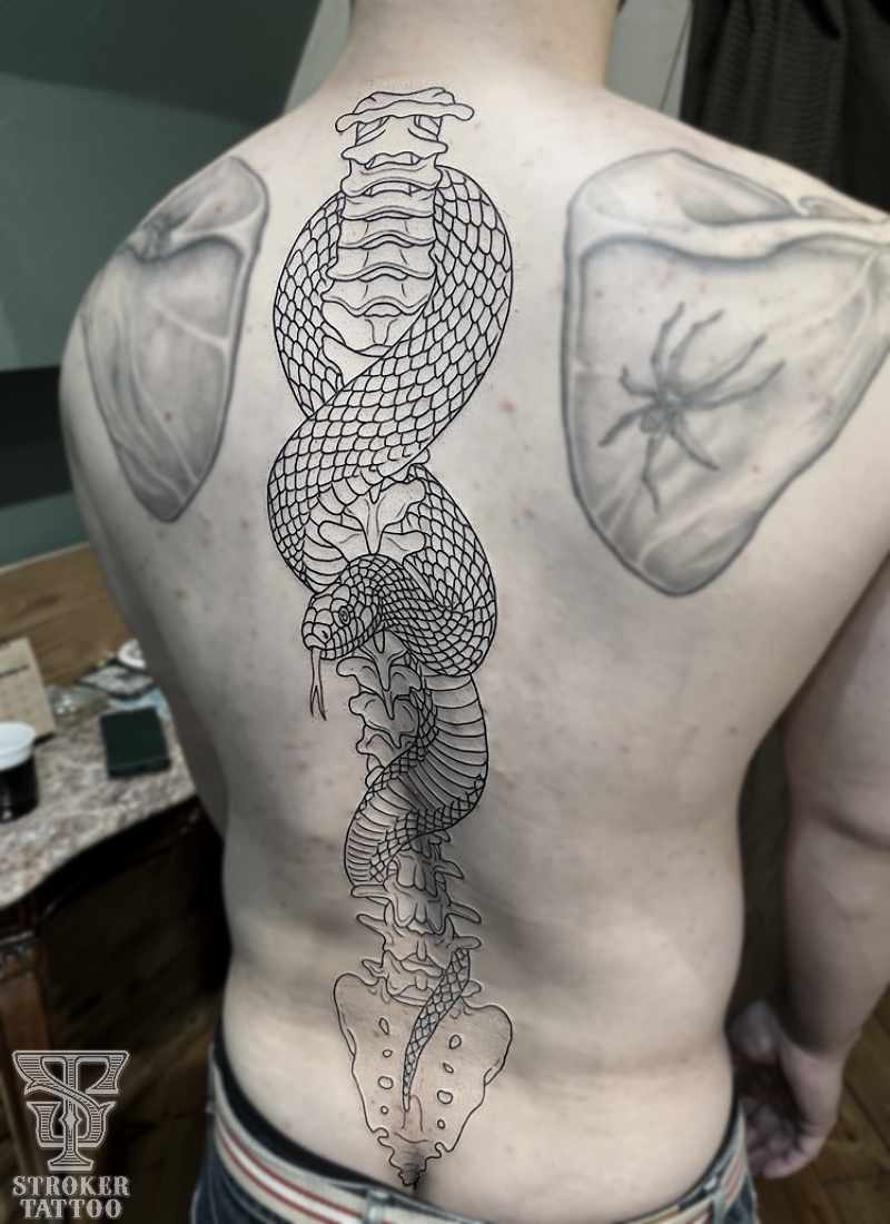 鎖骨に巻き付く蛇 背骨に巻き付く蛇 これから Stroker Tattoo