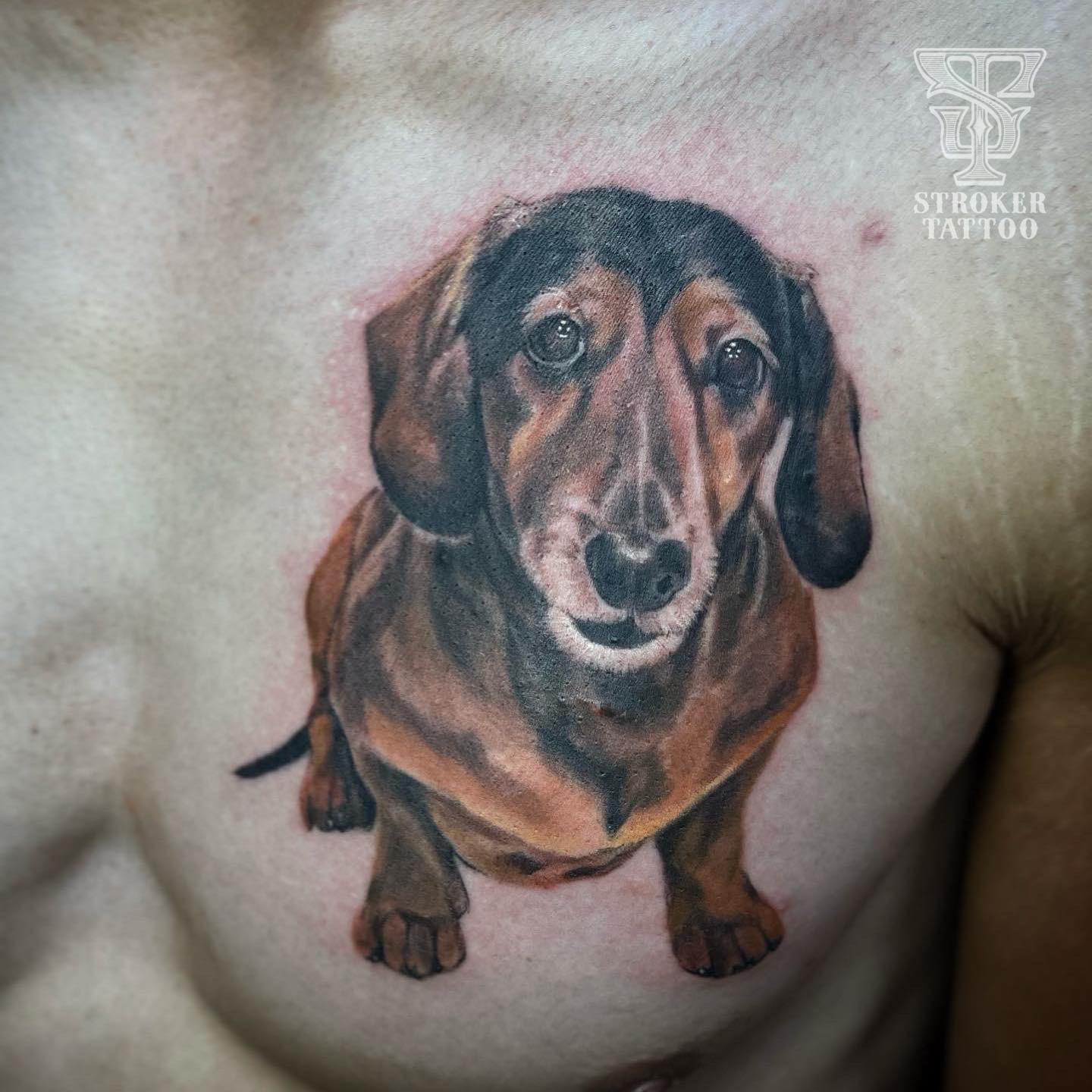 犬 リアル タトゥー dog Realistic tattoo カラー color