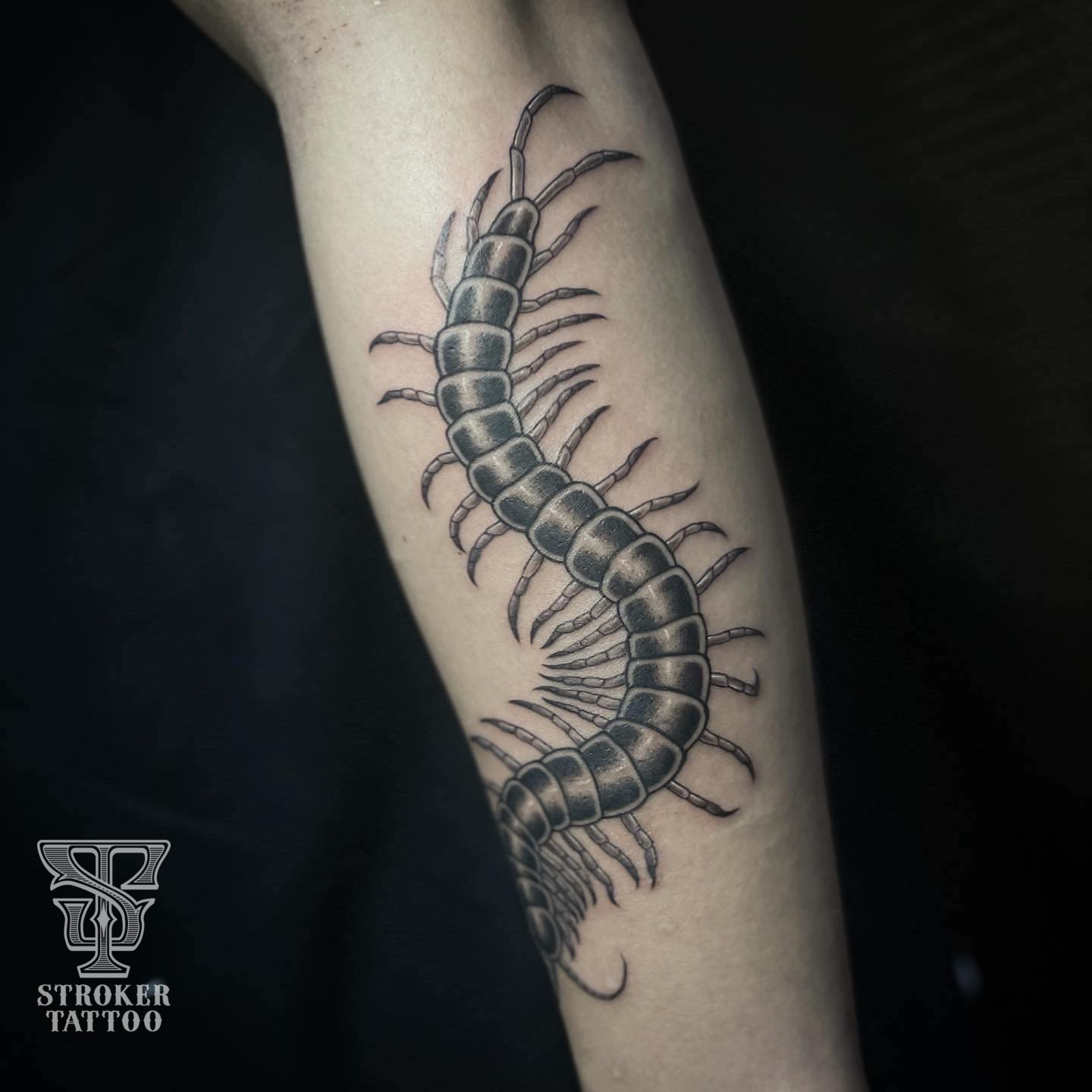 ムカデ 百足 centipede タトゥー tattoo 虫 ブラックアンドグレー