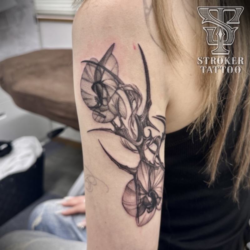 アブストラクト バイオメカ