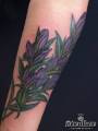 COLOR_chi_purpleflower  